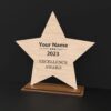 Star-Shaped Custom Award